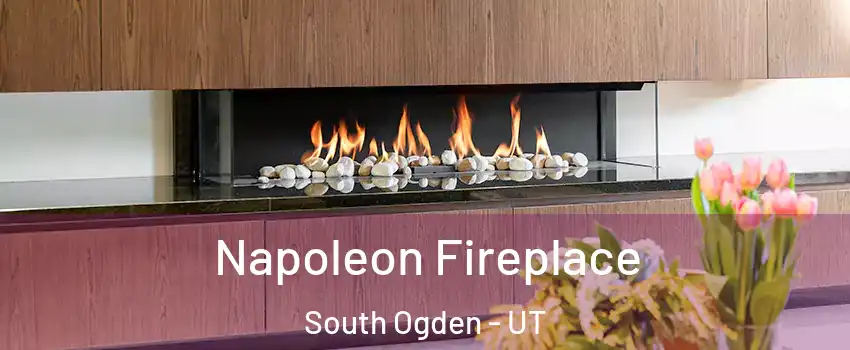  Napoleon Fireplace South Ogden - UT